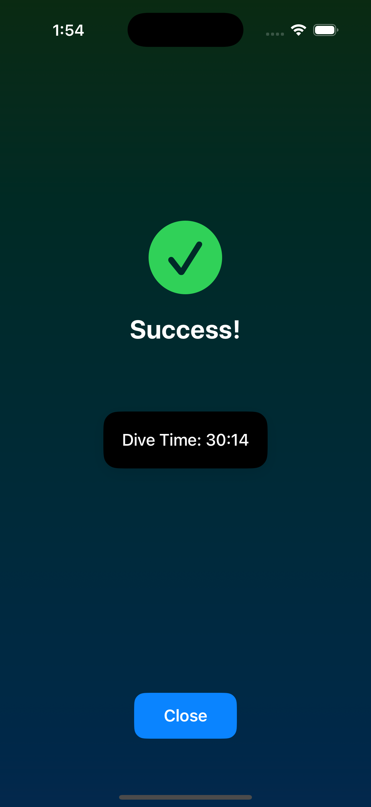 Dival App Screenshot. Dive result